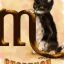 Al