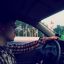 Egor