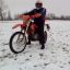 Kolya