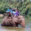 animals.show
