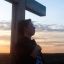 Dima